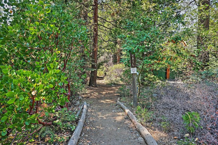 Hot Tub Deck & Trail Access: Shaver Lake Cabin