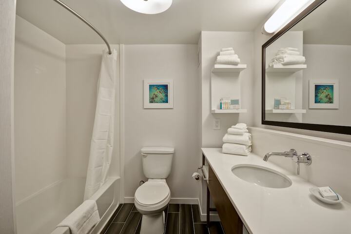 Hampton Inn & Suites Los Angeles Burbank Airport