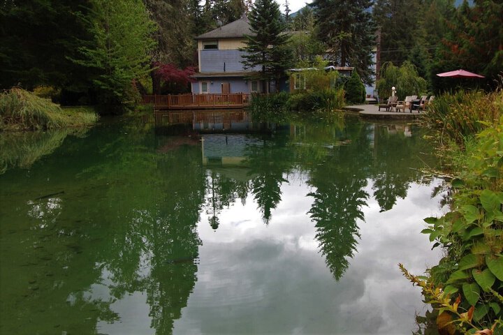 Alexanders Lodge