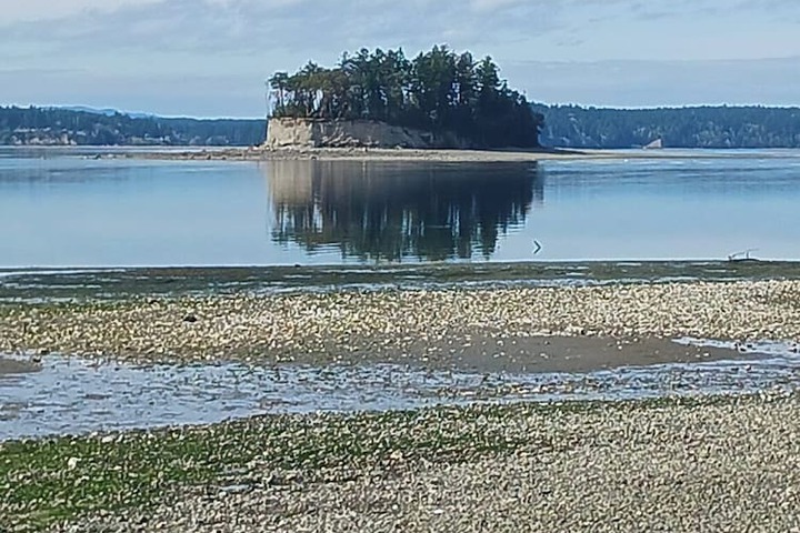 The Maritime Inn