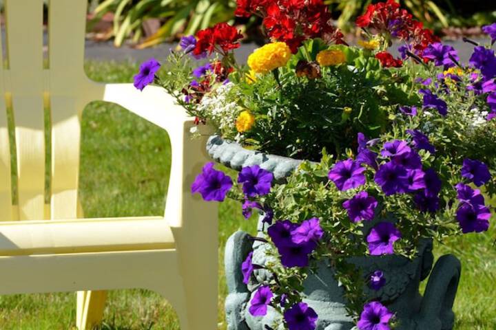 Shorelands Guest Resort and Cottages