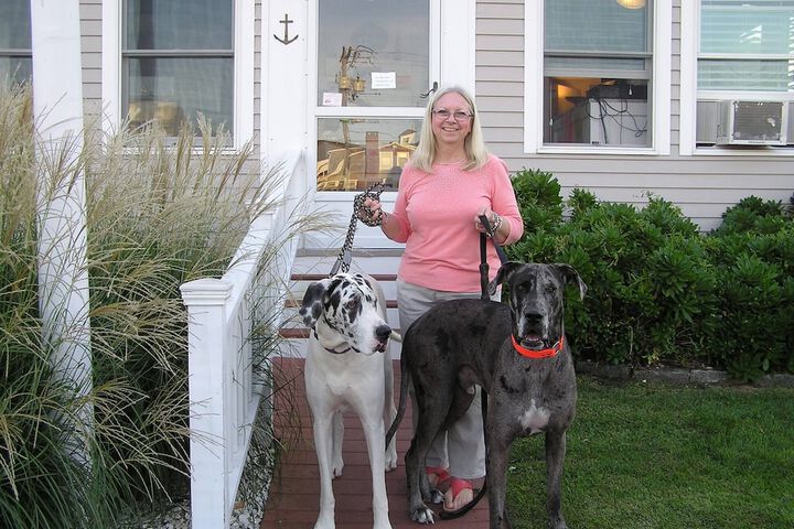 Pet Friendly 229 of 230