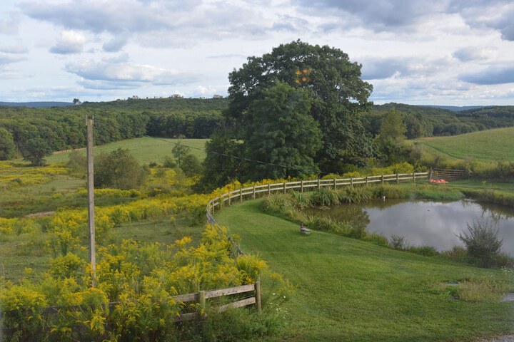 Property Grounds 20 of 20