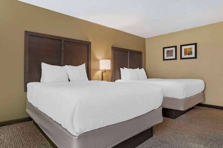 Comfort Inn Opelika - Auburn