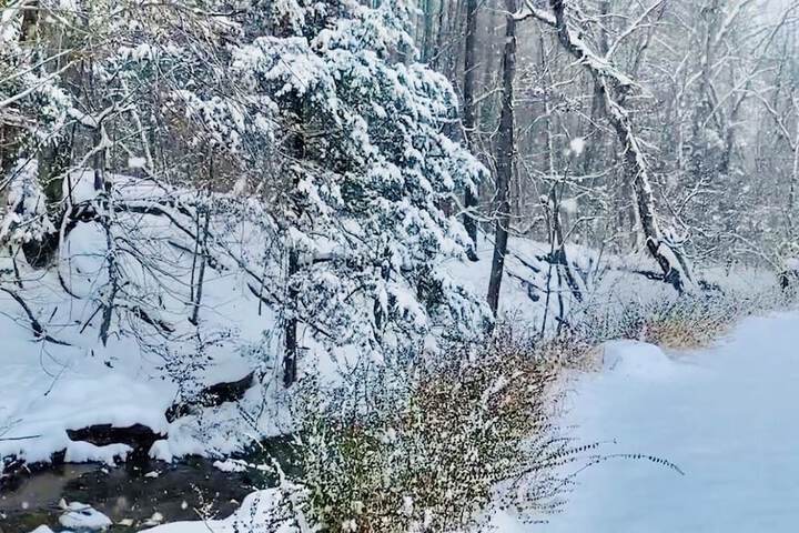 Bear Inn Retreat