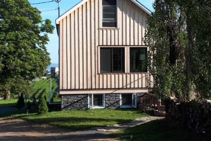 Raven Hill Vineyard