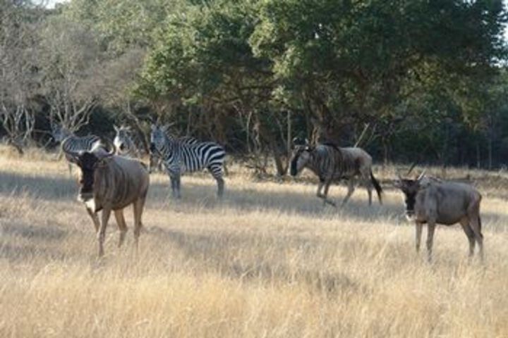 Medina River Ranch Resort