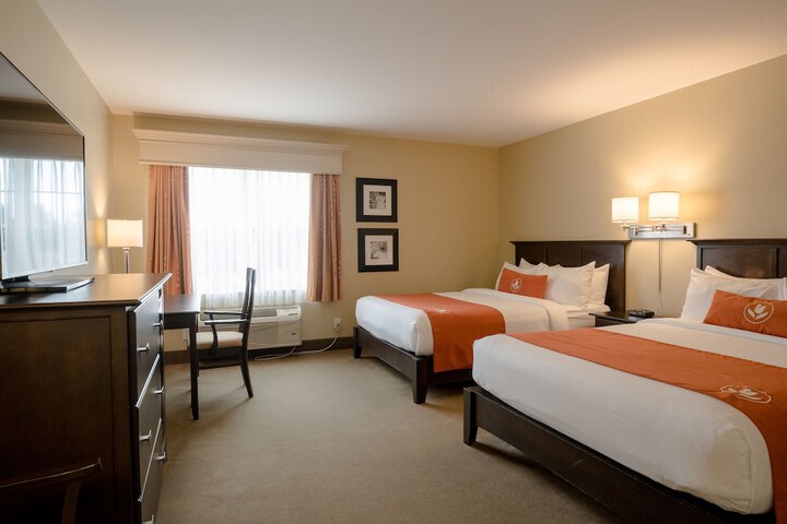 Room 18 of 46