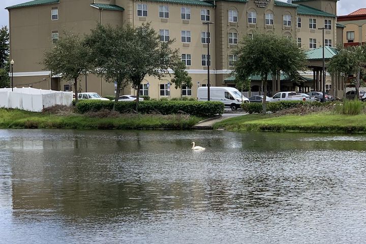 Hotel 4 of 54