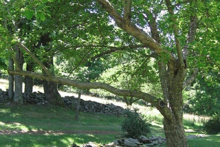 Retreat at TreeGap