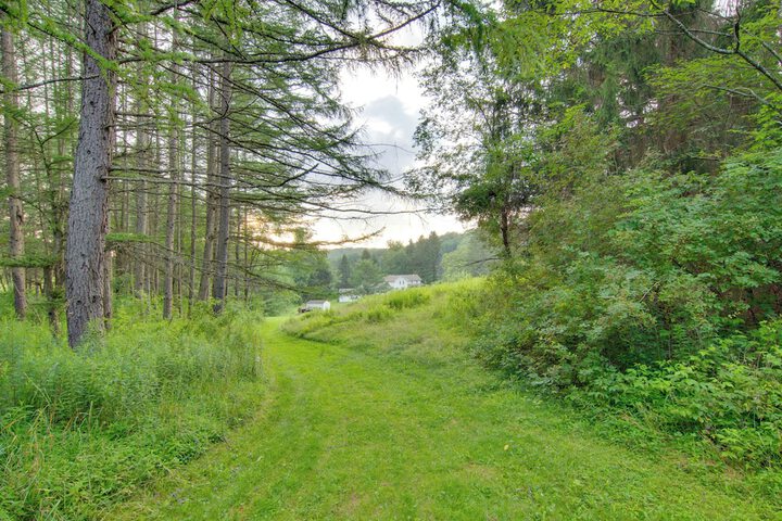 Sauna Spa & Stargazing: Coudersport Home!