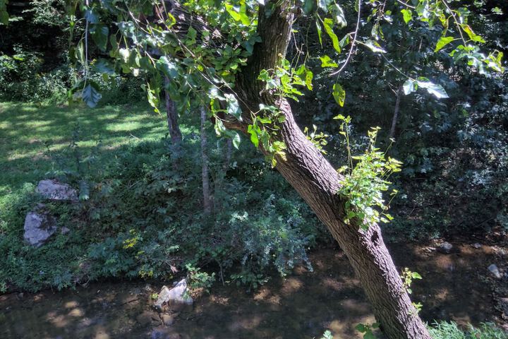 Property Grounds 50 of 53
