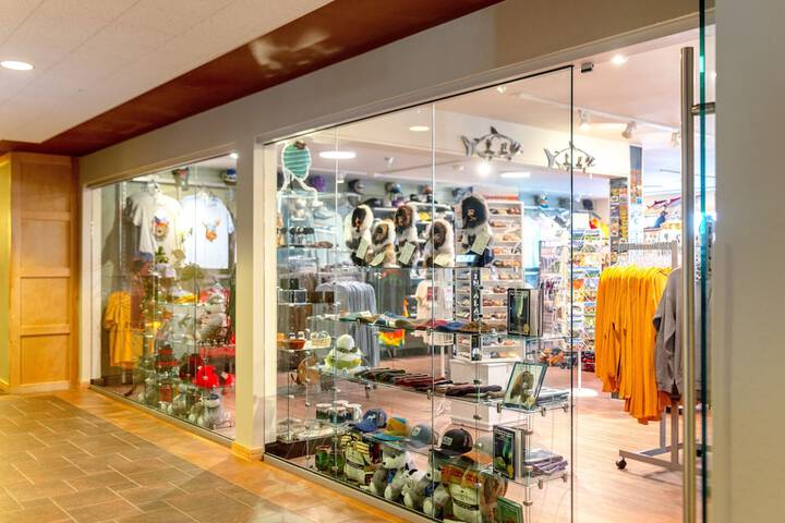 Gift Shop 29 of 33