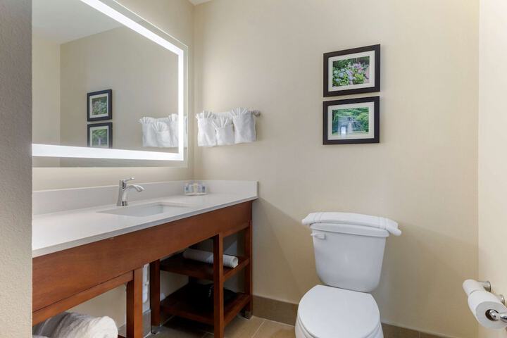 Comfort Suites West Monroe near Ike Hamilton Expo Center