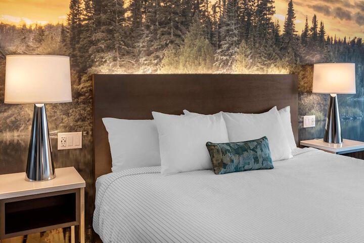 Cambria Hotel Shelby Township - Detroit Utica