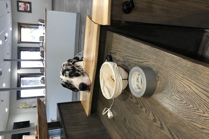 Pet Friendly 45 of 50