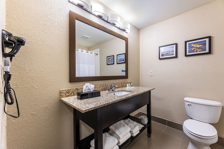 Comfort Suites Lake Jackson Clute