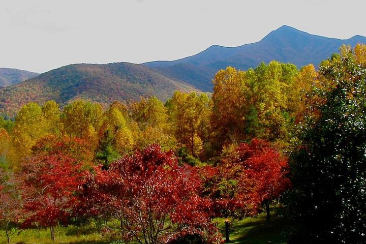 Pisgah View Ranch