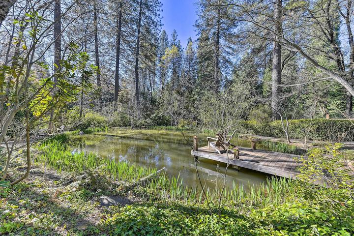 Peaceful Cottage w / Grill & Yard in Grass Valley!