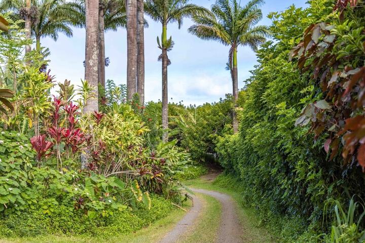 Hale Akua Garden Farm & Eco-Retreat