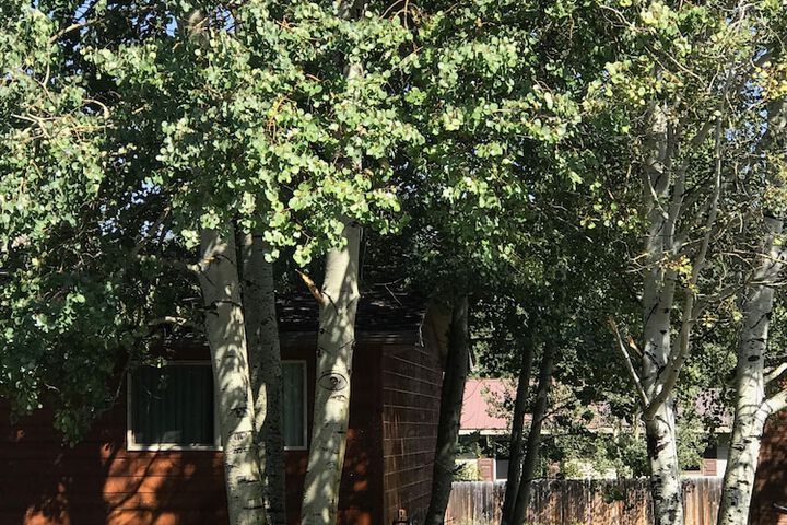 Property Grounds 18 of 18