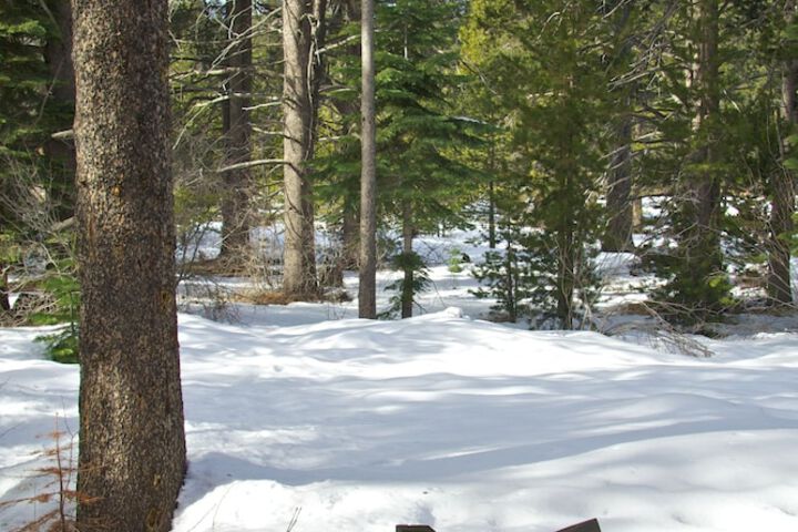 Truckee Donner Lodge