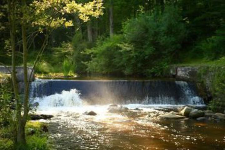 Brook Falls Farm