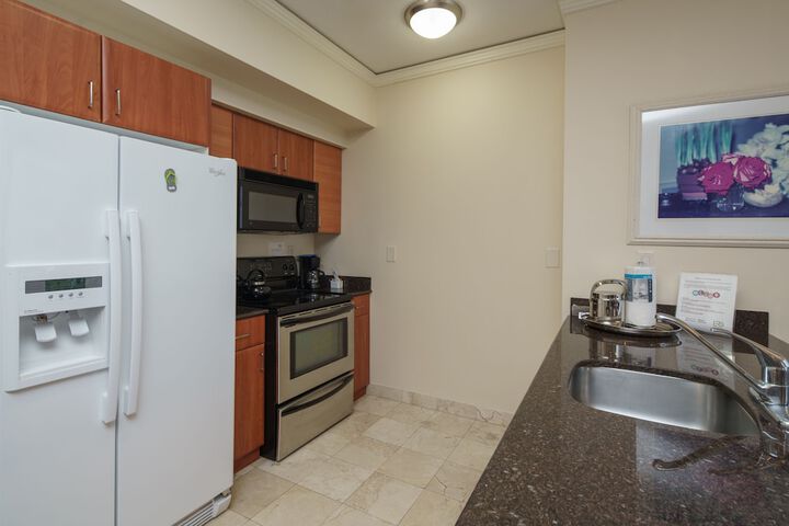 Private Ocean Condos at Trump Sunny Isles