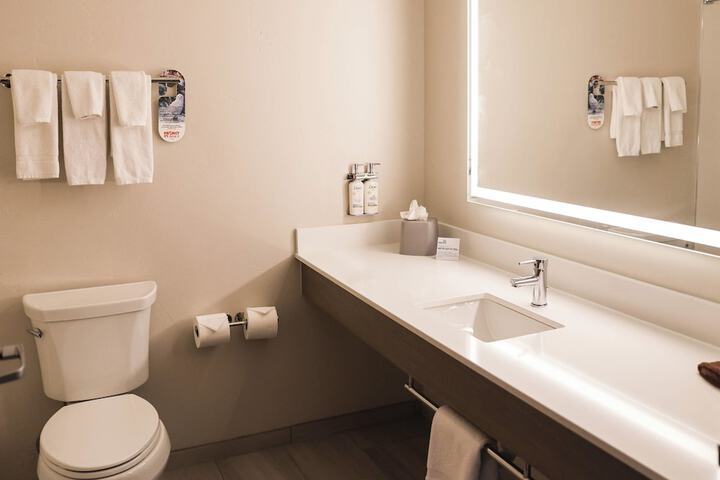 Holiday Inn Express Hotel & Suites Douglas by IHG