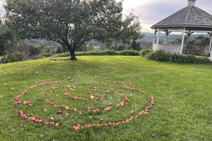 The Wildflower Inn