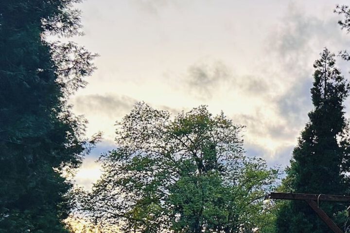 The Pines Inn and Cottages