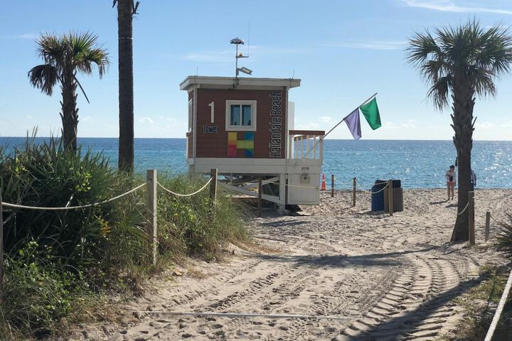 Beach 73 of 96