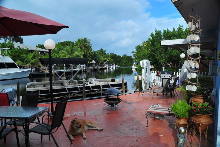 Terrace/Patio 21 of 26