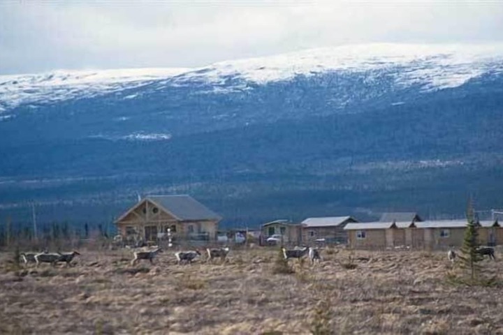 Earthsong Lodge