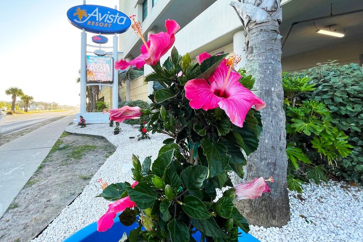 Avista Resort