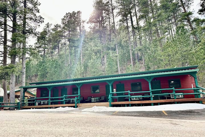 Ponderosa Pines