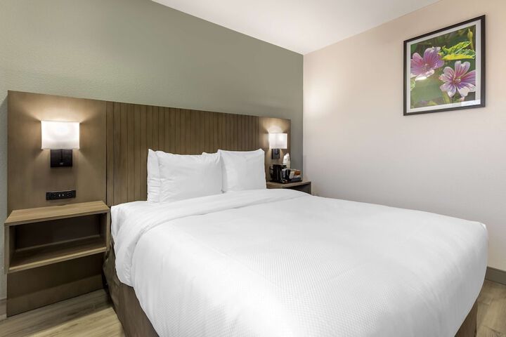 Room 15 of 25