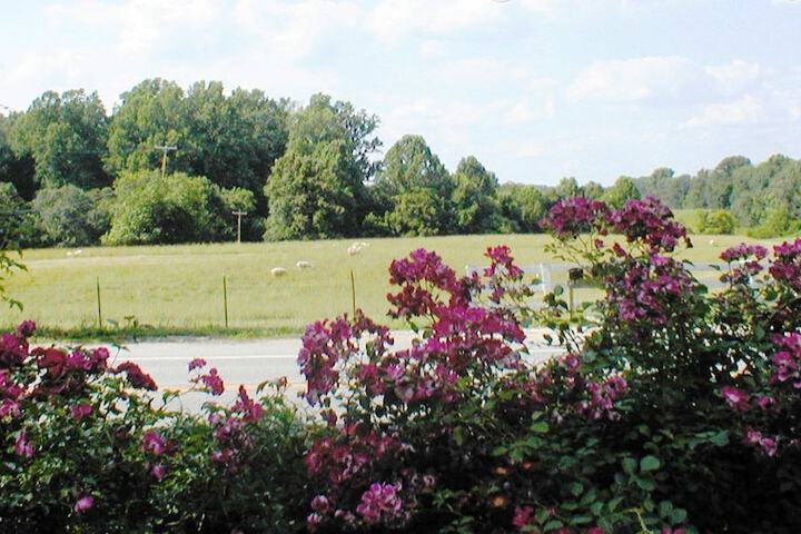 The Columbia Inn at Peralynna Manor