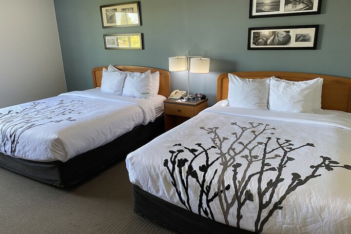 Room 18 of 43