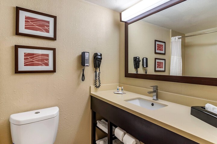 Comfort Inn & Suites near Six Flags
