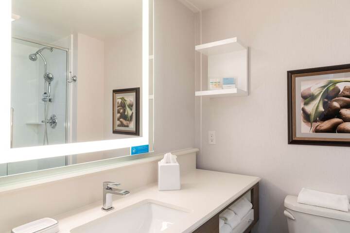Hampton Inn Holland