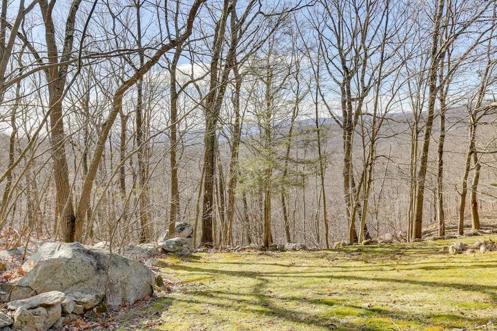 Dreamy Hudson Valley Cottage w / State Park Views