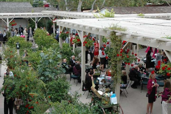 Terrace/Patio 72 of 72