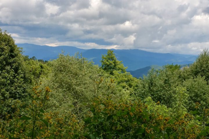Arrowmont Stables & Cabins