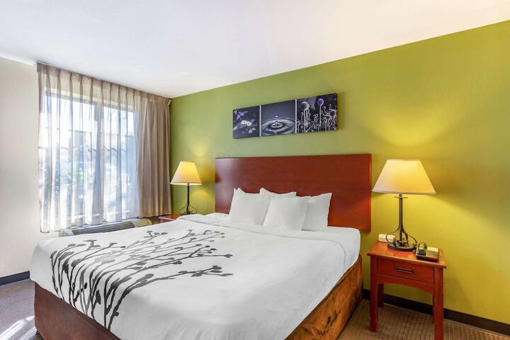 Room 19 of 32