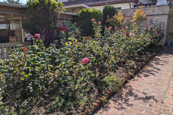 Los Gatos Garden Inn Hotel