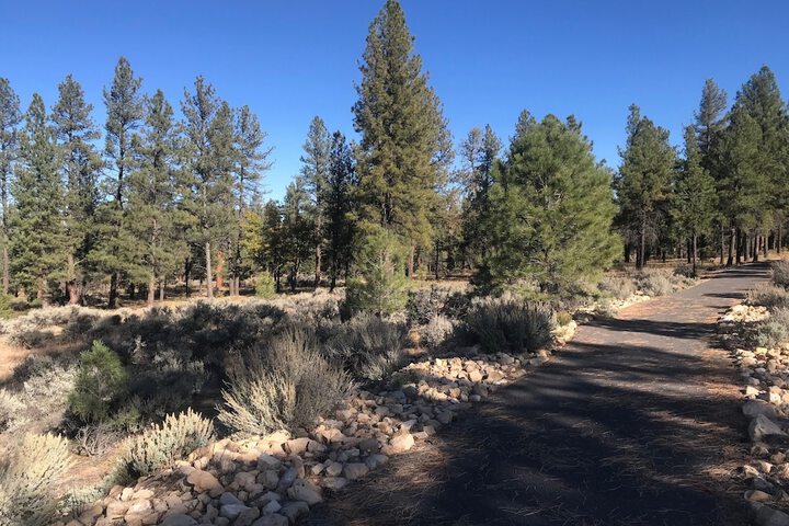 Red Feather Lodge