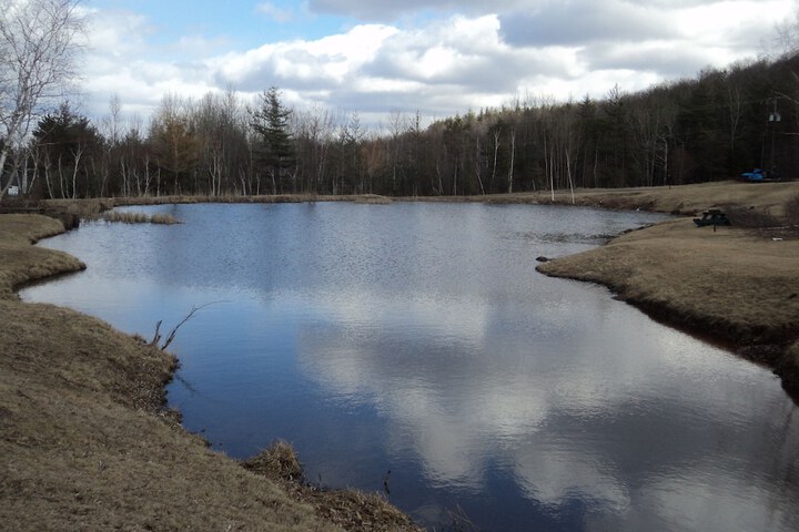 Property Grounds 55 of 55