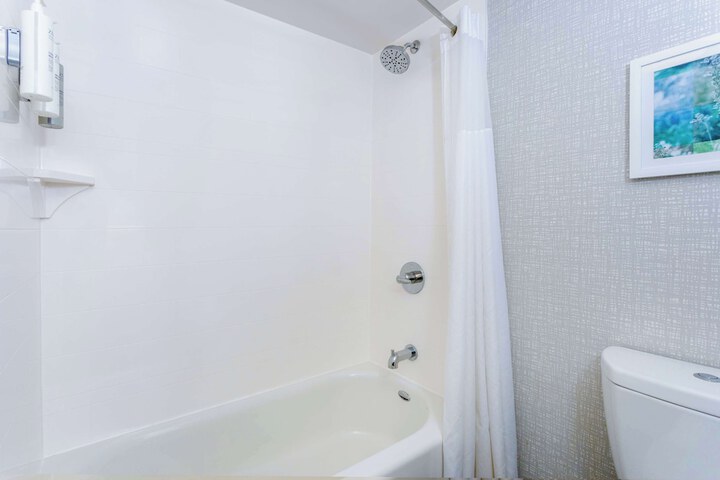 Hampton Inn Jacksonville-Downtown-I-95