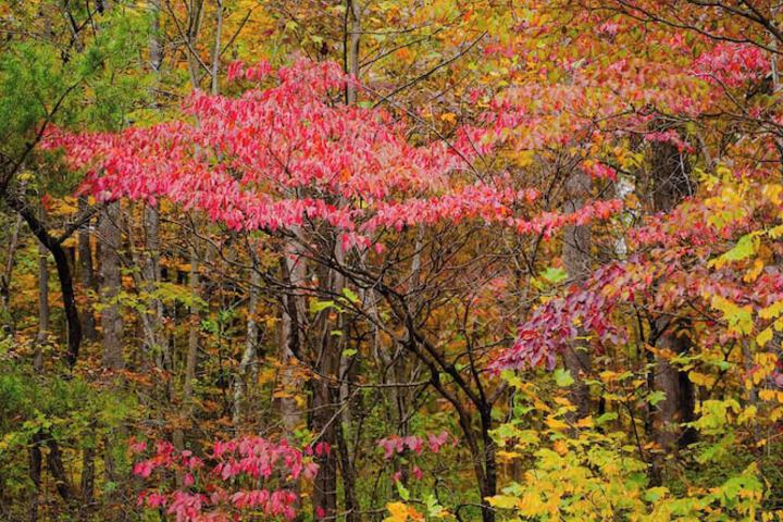 The 312 House a Boho Retreat Hocking Hills